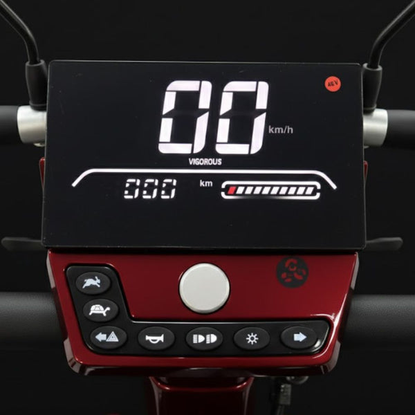 AINOHOT ebike HS4W B1R feature display
