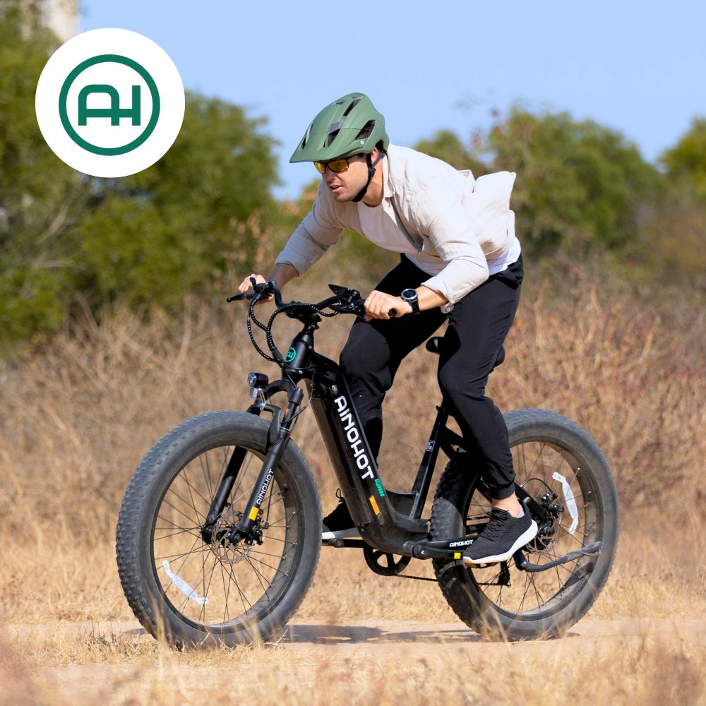 Ainohot Terra electric mountain bike