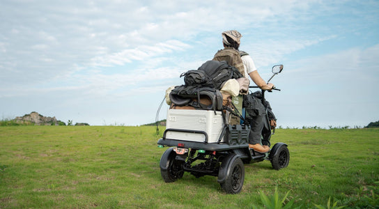 ainohot ebike 4wheel S20 pic