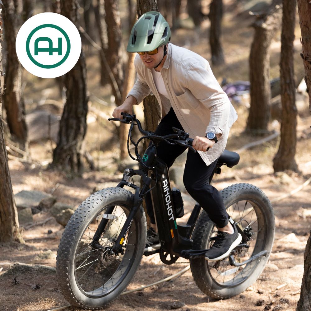 full suspension fat tire ebike