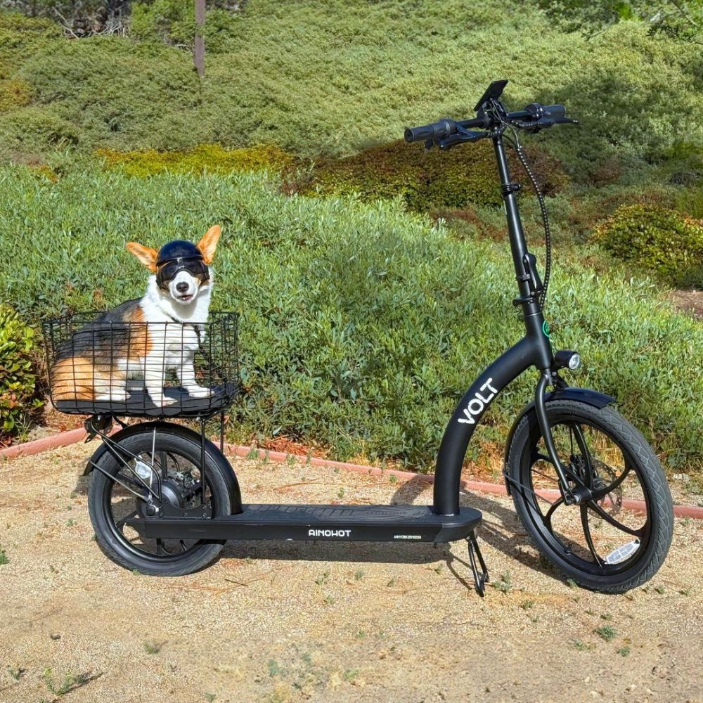 ainohot-ecooter-volt-black-6