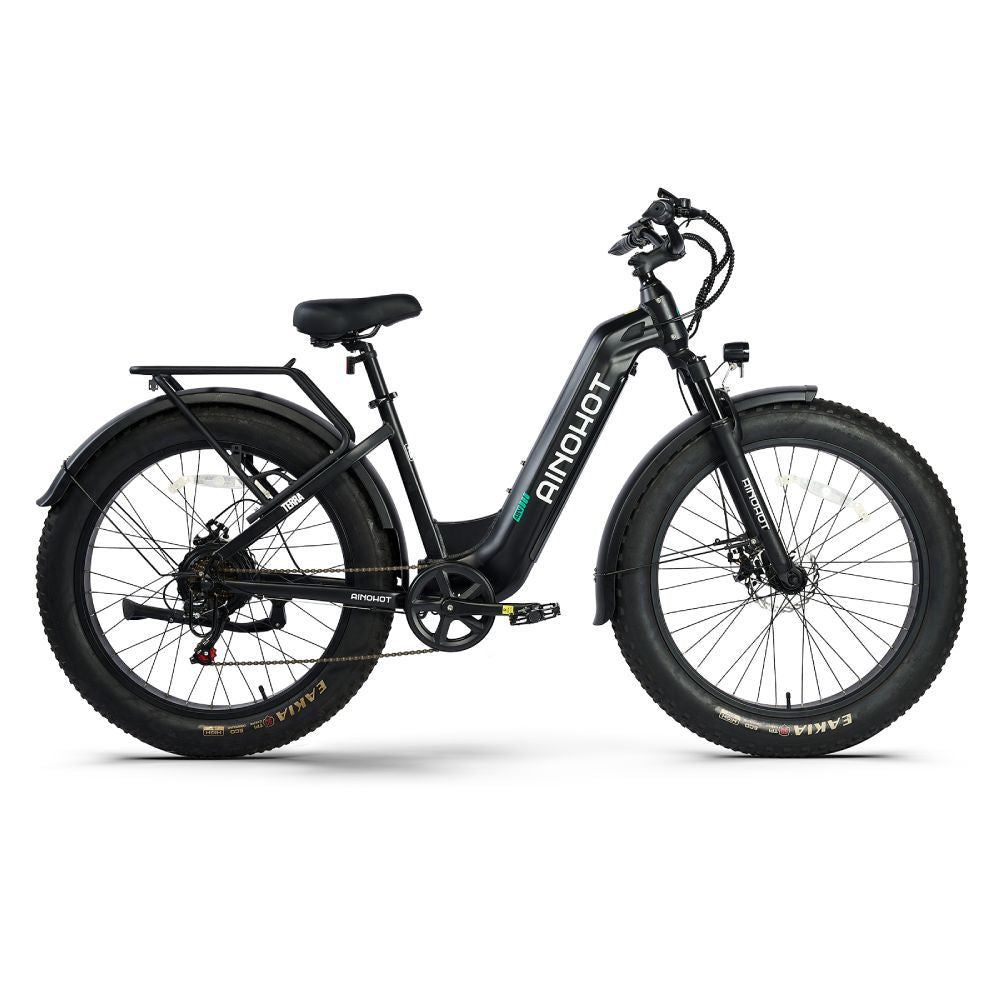 Rear Rack (for Terra)